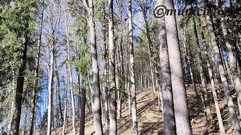 College Girl Munichgold Walk Ends With Public Fuck Please Cum On My Big Ass XHamster