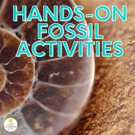 Exciting And Easy Hands On Fossil Activities For Kids Love Learning