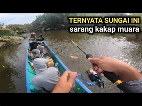 TAK DI SANGKA TERNYATA SUNGAI INI TEMPAT IKAN MUARA BERKUMPUL