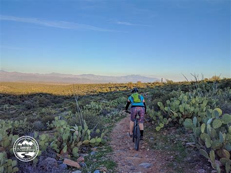 Mountain Biking At Mcdowell Mountain Regional Park Arizona Currently