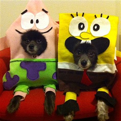 Cómo disfrazarse de Bob Esponja Fiesta en Fondo de Bikini