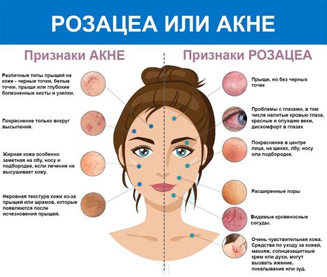 Смотреть Картинки Кожи – Telegraph