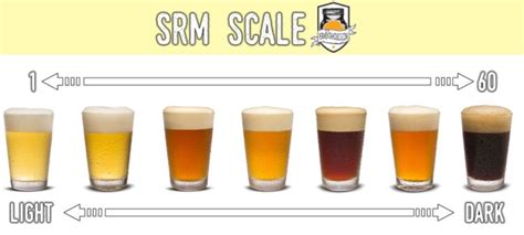 Srm In Beer The Importance Of Brewing Standard Reference