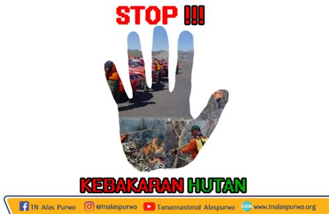 Stop Kebakaran Hutan Taman Nasional Alas Purwo