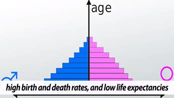 Population Pyramid Stages