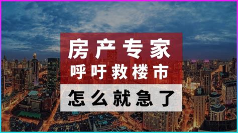 房产专家们正呼吁救楼市！楼市该救吗？救的起来吗？ Youtube