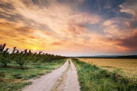 Spring Sunset Sky Above Spanish Countryside Open Road Through Pe Stock