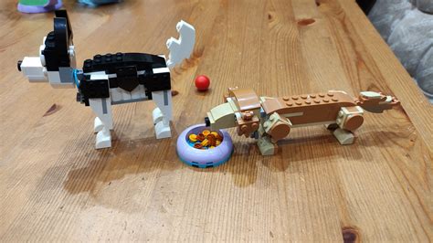 Конструктор LEGO CREATOR 3 в 1 Очаровательные собаки | Пикабу