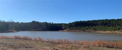 Searching Qpublic Greene County GA reveals surprisingly high land values 1