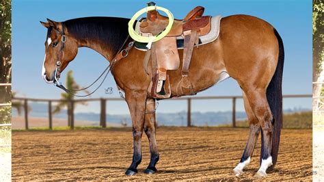 ONE BABE GUN SKY YouTube