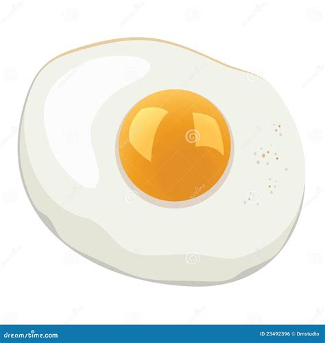 Vector Fried Egg Stock Vector Illustration Of Nutrition 23492396