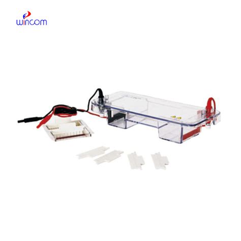 Laboratory Transfer Horizontal Electrophoresis Cell Tank for PCR Lab ...