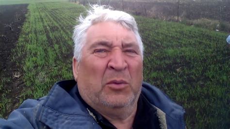 сеем эспарцет для пчел - YouTube