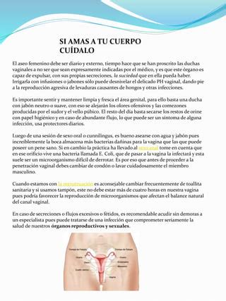 Revista Digitalizada Aparato Reproductor Masculino Y Femenino Pdf