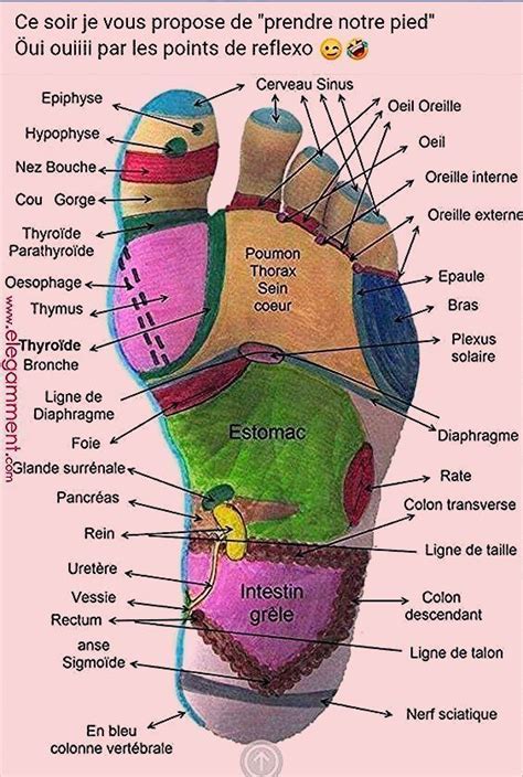 Prendre son pied par les points de réflexologie Acupression