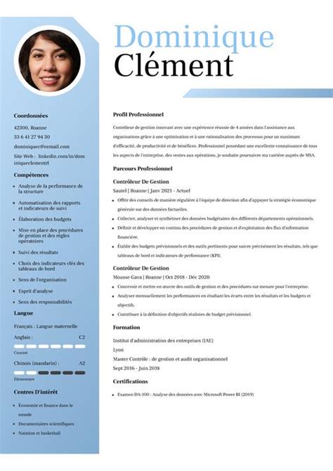 Cv Contr Leur De Gestion Exemple Pour Junior Et Senior