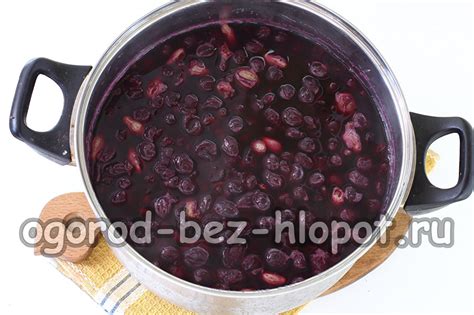 Виноградный сок без соковыжималки, как сделать в домашних условиях