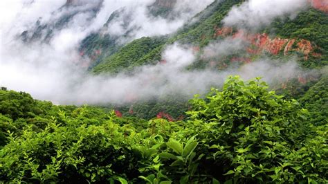 las mejores fotos de las yungas jujenas en  libro