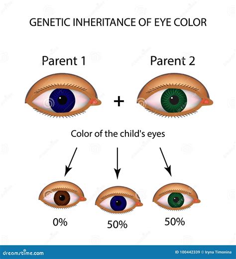 How common are blue eyes depends on these genetic factors