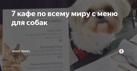 7 кафе по всему миру с меню для собак | Woof Travel Vanlife | Дзен