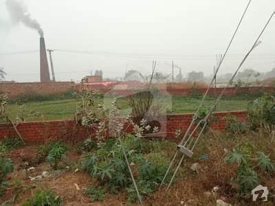 2 Kanal Agricultural Land For Sale In Depalpur Road Kasur Zameen