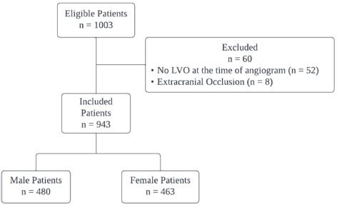 Sex Differences In Endovascular Thrombectomy A Comparative Analysis Of Baseline Characteristics