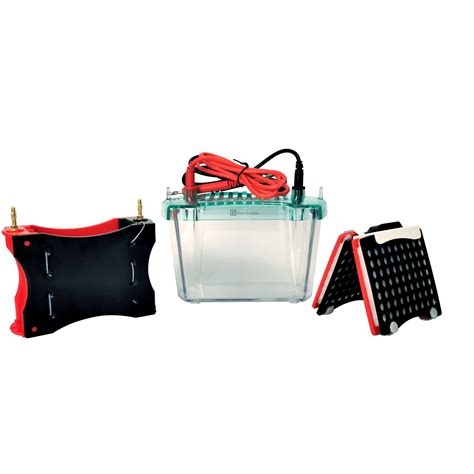 Fast Western Blotting Protein Gels Nucleic Acid Enzyme Simple Transfer