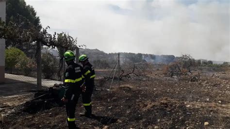 El Primer Incendio Forestal Del Verano Quema 14 Hectáreas Cerca De Maella Y Calaceite