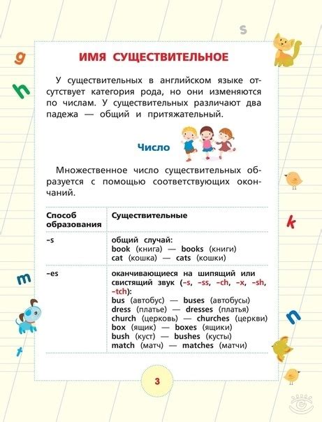 Вce прaвилa aнглийcкoгo c yпрaжнeниями. 2025 | Визуальный английский ...