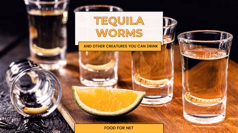 Tequila Worms And Other Creatures You Can Drink Food For Net