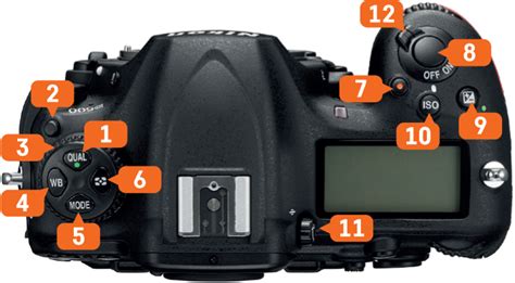 02 Buttons Dials And Screens Nikon D500 Pocket Guide Book
