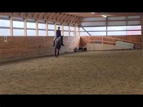 Dso Open Equitation Training Level Youtube