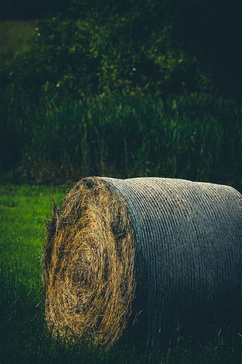 Hay Bale Agriculture Free Photo On Pixabay Pixabay