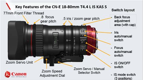 canon      sony cameras  systems