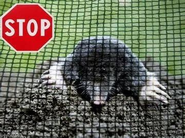 Купить Пластиковая сетка от кротов в Смоленске - Вокруг Дома ...