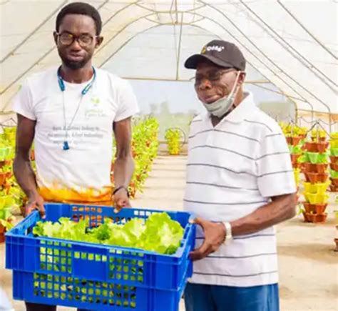 Agritech Startups Enhancing Food Production With Technology In