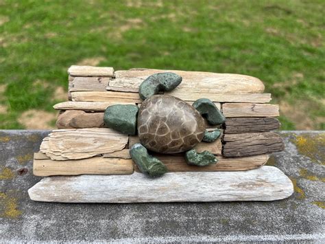 Petoskey Stone Turtle - Etsy
