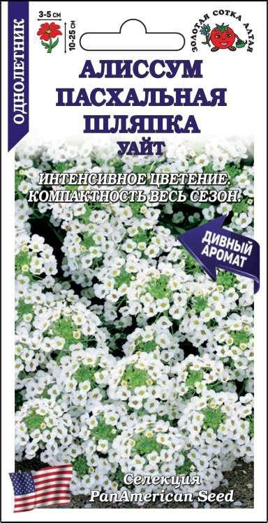 Золотая сотка алтая