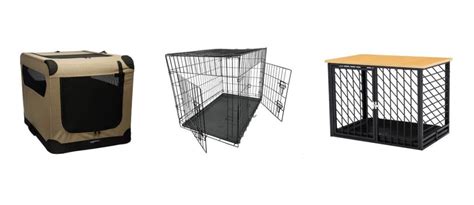 size  dog crate   cocker spaniel spaniel advisor