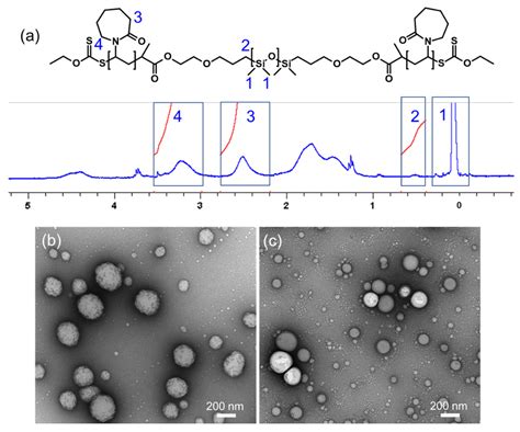 Molecules | Free Full-Text | Dually Responsive Poly(N-vinylcaprolactam ...