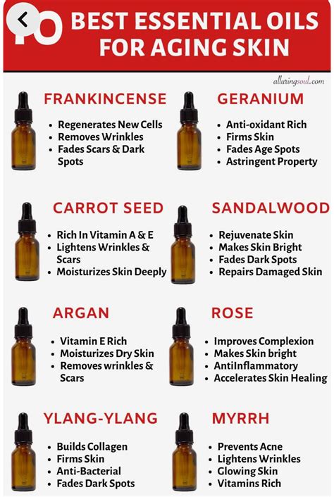 Best 12 Vitamin E Oil vs Jojoba Oil For Skin: Everything You Need to