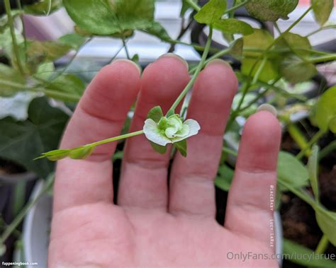 Lucylarue Nude Onlyfans Leaks Fappening Fappeningbook