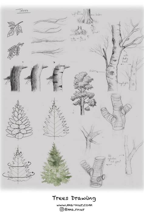 trees drawing  udemy manur arts architecture drawing