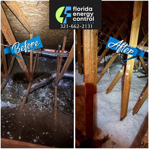 Attic Insulation Florida $.70 Cent Store | Orlando FL
