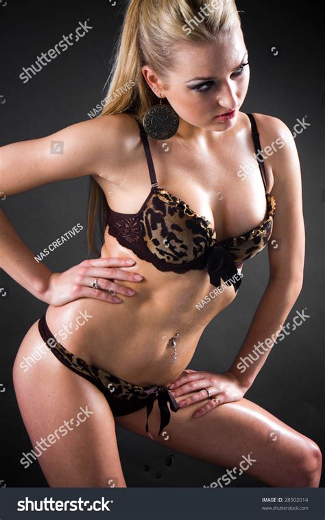 Sexy Female Wearing Lingerie Stock Photo 28502014 Shutterstock