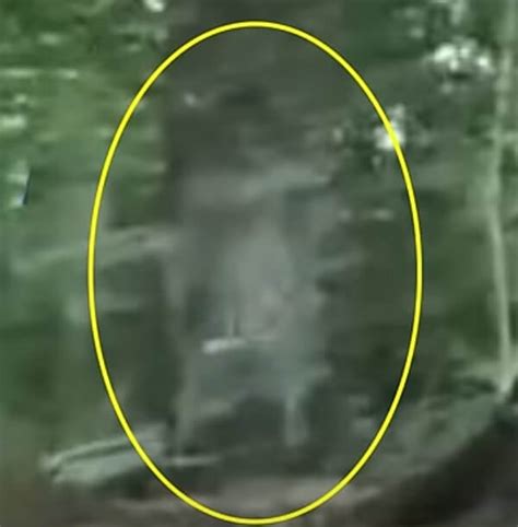 Ghost Of A Child Miner Shows Up In Investigator's Footage - Sasquatch ...