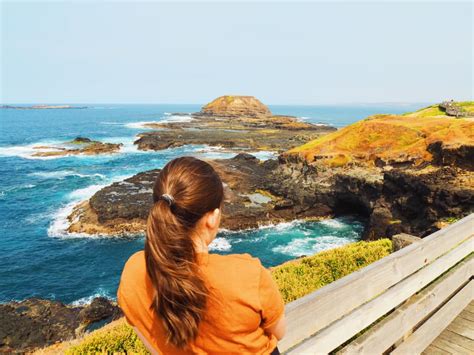 Things To Do On Phillip Island With Kids The Kid Bucket List