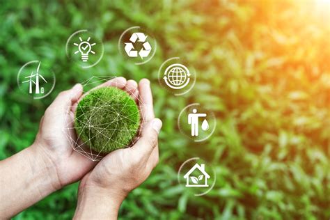 Reasons Your Workplace Could Need Environmental Services