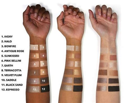 Bobbi Brown Nude Drama Eyeshadow Palette Fall Beauty Trends And Latest Makeup Collections