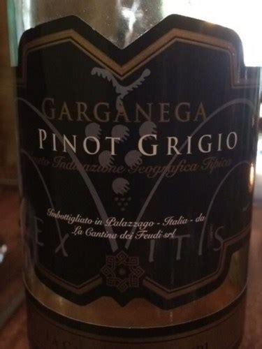 2019 Ex Vitis Garganega Pinot Grigio Vivino US